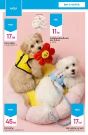 Catalog Pepco săptămâna 10 Pagină 10