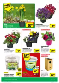 Leitermann Baumarkt Prospekt Seite 14