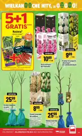 Polomarket gazetka tydzień 10 Strona 51