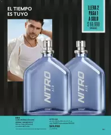 Catálogo Cyzone Página 101