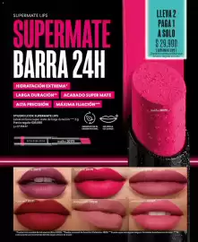 Catálogo Cyzone Página 13