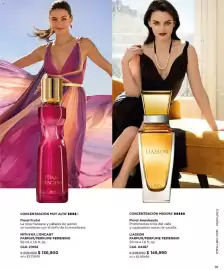 Catálogo L'bel Página 19