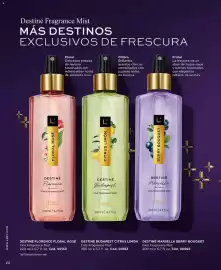 Catálogo L'bel Página 22