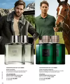 Catálogo L'bel Página 36