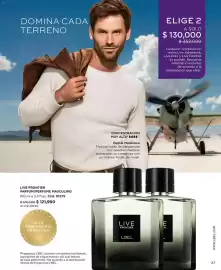 Catálogo L'bel Página 37