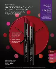 Catálogo L'bel Página 75