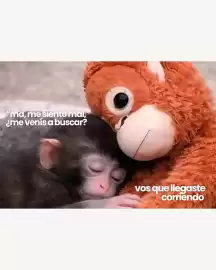 Catálogo Jugueterias Carrousel semana 10 Página 5