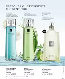 Catálogo L'Bel Página 21