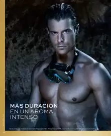 Catálogo L'Bel Página 36