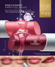 Catálogo L'Bel Página 79