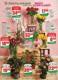 Dino gazetka tydzień 10 Strona 13