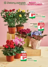 Dino gazetka tydzień 10 Strona 14