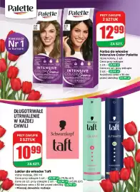 Dino gazetka tydzień 10 Strona 15