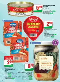 Dino gazetka tydzień 10 Strona 40