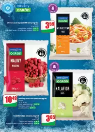 Dino gazetka Strona 42