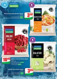 Dino gazetka tydzień 10 Strona 42