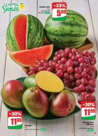 Dino gazetka tydzień 10 Strona 49