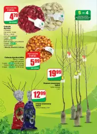 Dino gazetka tydzień 10 Strona 68