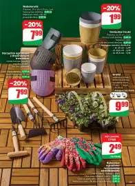 Dino gazetka tydzień 10 Strona 69