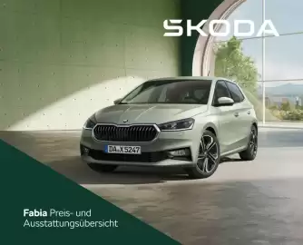 Skoda Prospekt Seite 1