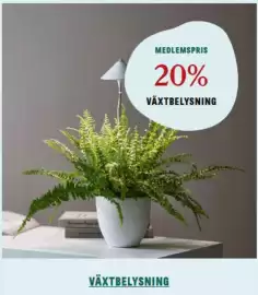 Blomsterlandet reklamblad vecka 10 Sida 1
