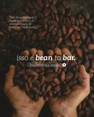 Catálogo Hippo (válido até 10-03)