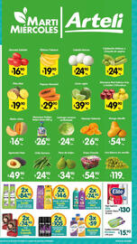 Folleto Arteli Página 2