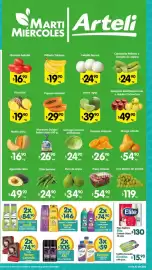 Folleto Arteli Página 2