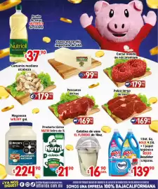 Folleto El Florido Página 2