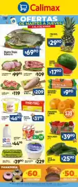 Folleto Calimax Página 2