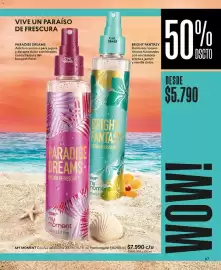 Catálogo Cyzone Página 67