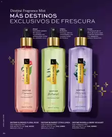 Catálogo L'Bel Página 20