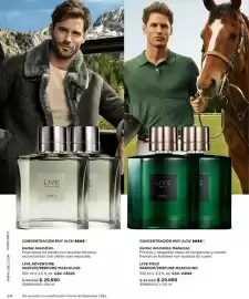 Catálogo L'Bel Página 34