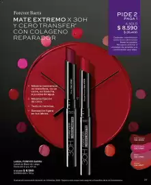 Catálogo L'Bel Página 81