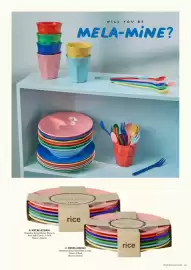 Rice catalogue Page 29