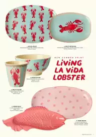 Rice catalogue Page 7