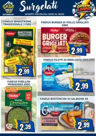 Volantino A Casa Mia settimana 10 Pagina 10