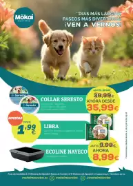 Folleto Supermercados MAS Página 1