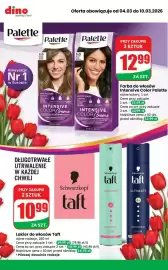 Dino gazetka tydzień 10 Strona 7