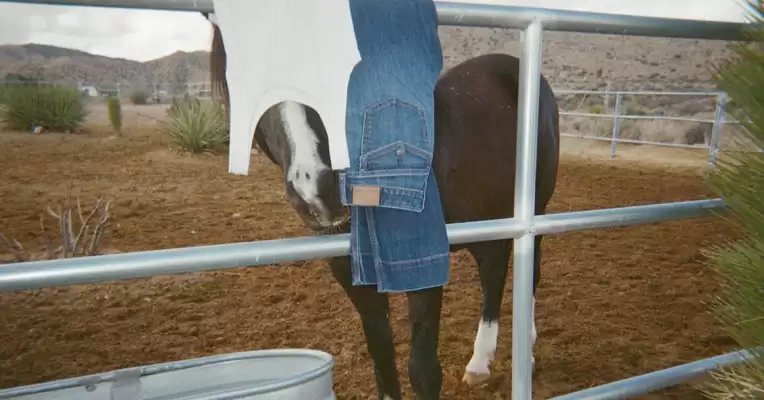 Catálogo American Eagle (válido hasta 16-03)