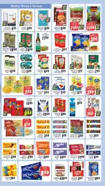 Folheto Panelão Página 3