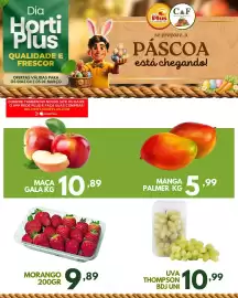 Folheto Rede Plus Supermercados Página 3