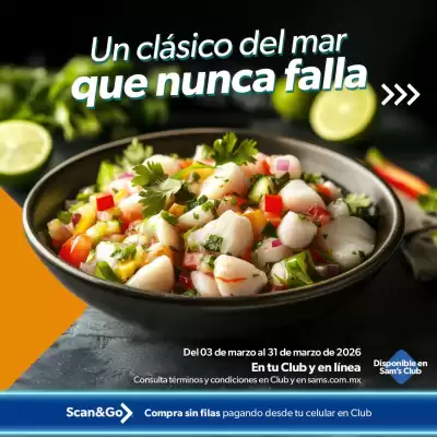 Catálogo Sam's Club (válido hasta 31-03)