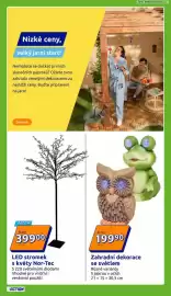 Action leták týden 10 Strana 19