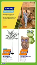 Action leták týden 10 Strana 19