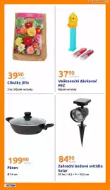 Action leták týden 10 Strana 25