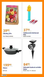 Action leták týden 10 Strana 25