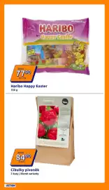 Action leták týden 10 Strana 27