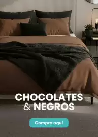 Catálogo Brissa semana 10 Página 5