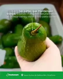 Catálogo Freshmart semana 10 Página 2